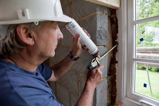 Best Cellulose Insulation in North Lynnwood, WA
