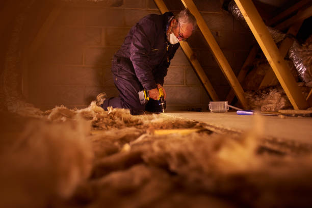 Best Eco-Friendly Insulation in North Lynnwood, WA